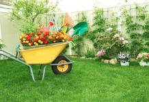 Top 10 tips to stay fit by Home Gardening Home Gardening