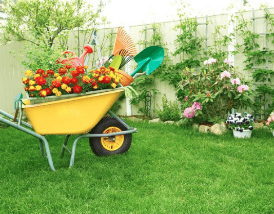 Top 10 tips to stay fit by Home Gardening Home Gardening