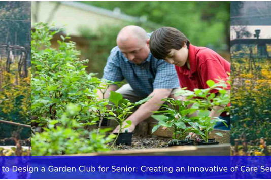 How to Design a Garden Club for Senior: Creating an Innovative of Care Seniors garden