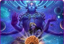 10 Mukhi Rudraksha Benefits Vedic Astrology 10-mukhi-Rudraksha