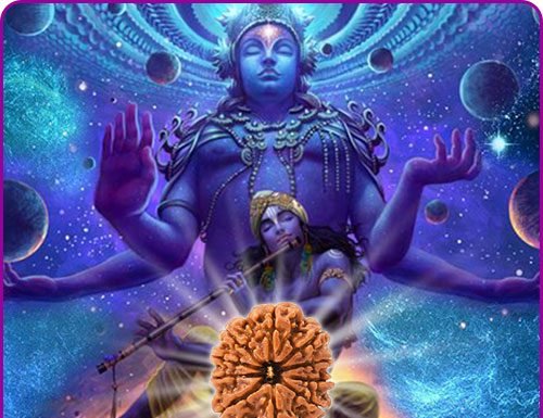 10 Mukhi Rudraksha Benefits Vedic Astrology 10-mukhi-Rudraksha