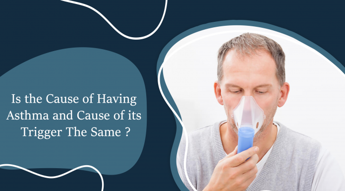 Is The Cause of Having Asthma and Cause of Its Trigger The Same? asthalin inhaler