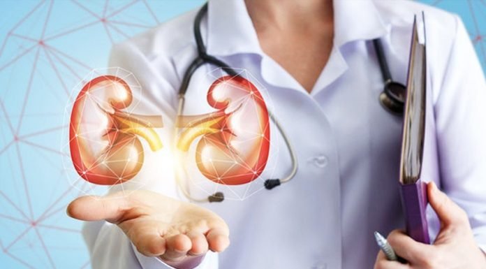 5 Things to Keep in Mind When Contracting For a Nephrology EHR Software Nephrology EHR software