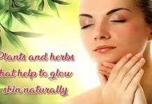 Plants and herbs that help to glow skin naturally Plants and herbs that help to glow skin naturally