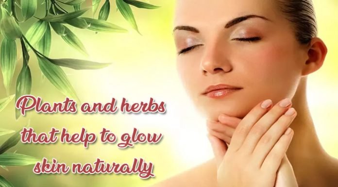 Plants and herbs that help to glow skin naturally Plants and herbs that help to glow skin naturally