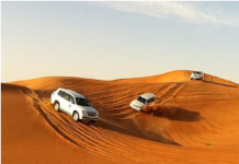 10 Popular Desert Safari Activities In Sharjah That You Should Never Ignore