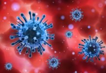 COVID-19 – Read out the Signs and Symptoms of Coronavirus