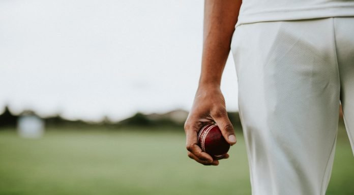 The Popularity of Fantasy Games Among Youth