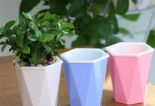 Different Types of Plastic Plant Pots for Planting Plastic Plant Pots