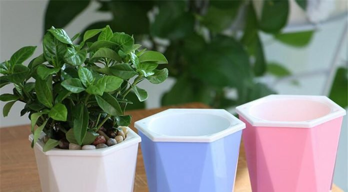 Different Types of Plastic Plant Pots for Planting Plastic Plant Pots