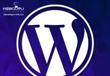 WordPress Database Optimization Tips by a Website Development Company WordPress_800x800