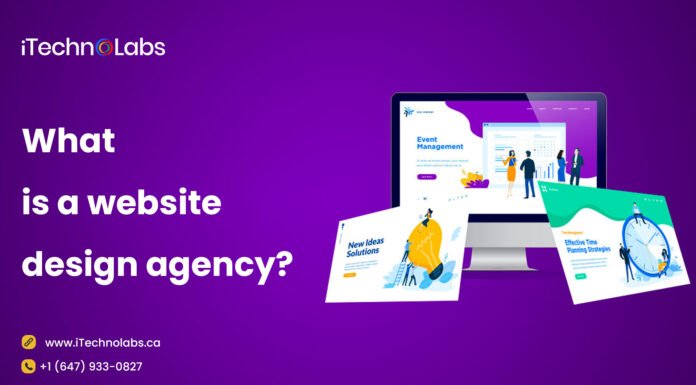 9 Money Harming Facts No Web Designing Company will Spill on Your Face what-is-website-design-agency-itechnolabs