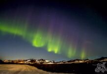 Experience the Difference with HG Law: Your Premier Law Firm in Sydney Premier Law Firm in Sydney