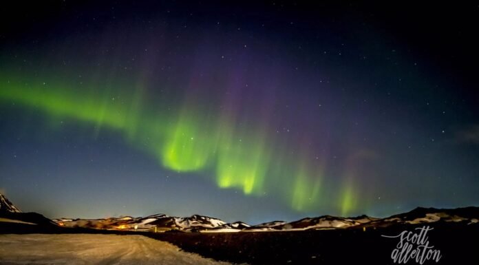 Experience the Difference with HG Law: Your Premier Law Firm in Sydney Premier Law Firm in Sydney