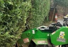 Ensuring Safety in the Treetops: A Tree Surgeon’s Essential Safety Equipment Tree surgeon safety equipment