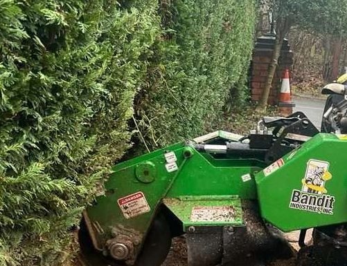 Ensuring Safety in the Treetops: A Tree Surgeon’s Essential Safety Equipment Tree surgeon safety equipment