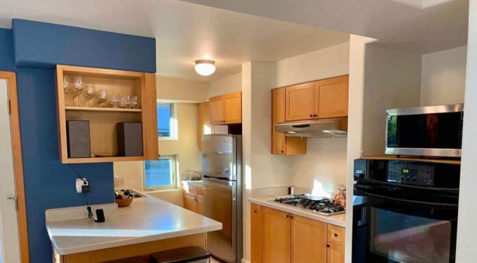 Lodging Near Denali: A Nature Lover’s Dream lodging near denali