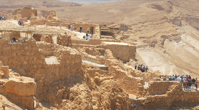 Explore the Best Tours of Israel: Unforgettable Journeys with Alon Transport tours of Israel