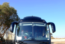 The Ultimate Israel Experience: Customized Private Tours with Alon Transport private Israel tours