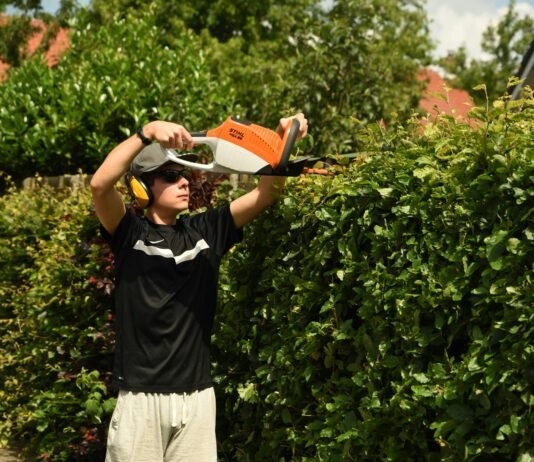 The Advantages of the STIHL Hedge Trimmer: A Gardener’s Essential Tool stihl hedge trimmer