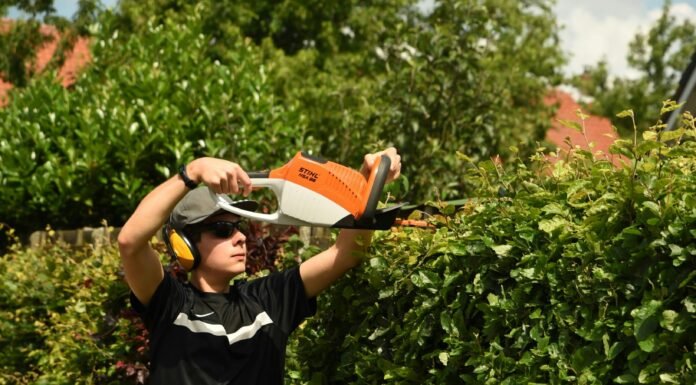 The Advantages of the STIHL Hedge Trimmer: A Gardener’s Essential Tool stihl hedge trimmer