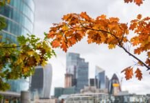 How to Choose the Right Accommodation London UK accommodation London UK