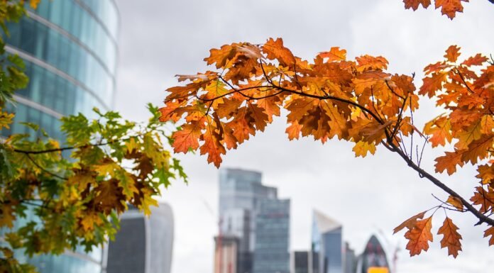 How to Choose the Right Accommodation London UK accommodation London UK