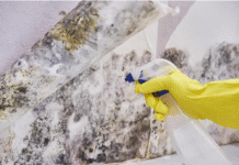 Top 5 Signs You Need a Hazardous Materials Removal Company hazardous materials removal company