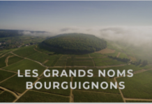 Mélangez, mêlez-vous et grignotez : des idées de menus de fête pour chaque foule de menu de fête