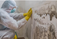 Breathe Easy: Your Simple Guide to Mold Removal in Kitchener  mold removal kitchener